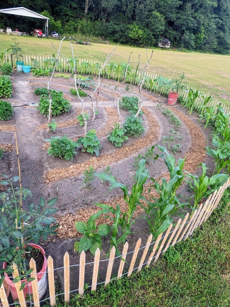 Looks amazing! Corn however does not belong inside there, it needs to be densely placed to properly pollinate, as it is wind pollinated. You should plant the corn in rows in a rectangle somewhere else.