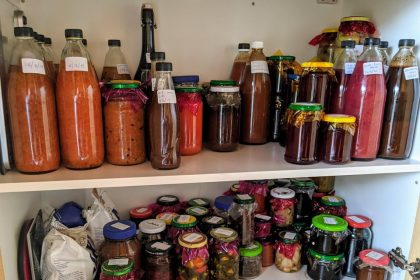 Homemade sauces and pickles! List and recipes