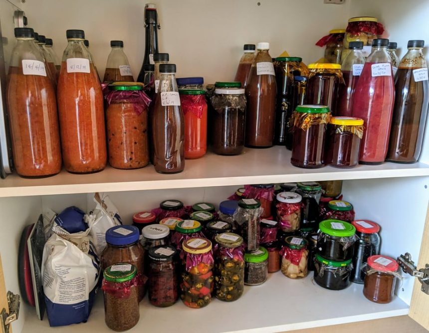 Homemade sauces and pickles! List and recipes