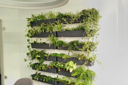 vertical garden