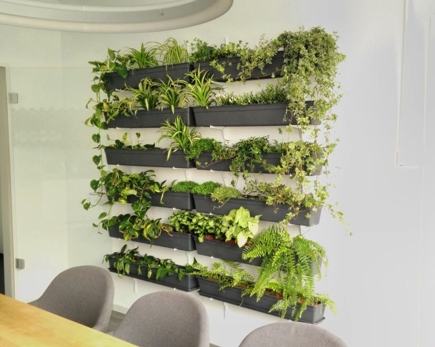 vertical garden